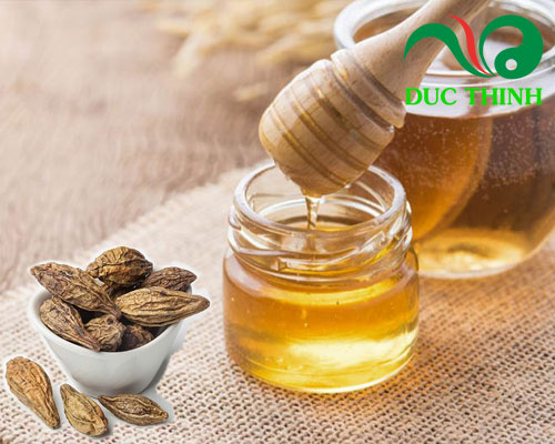 Cách ngâm quả kha tử với mật ong