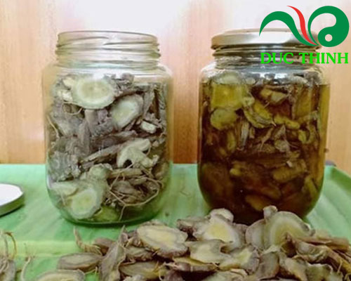 Cách ngâm rượu tam thất bắc
