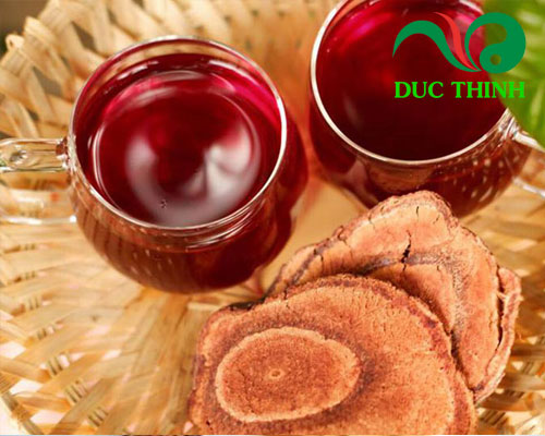 Cách sử dụng cây huyết rồng