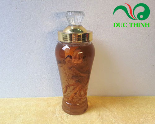 Cách sử dụng tam thất bắc hiệu quả