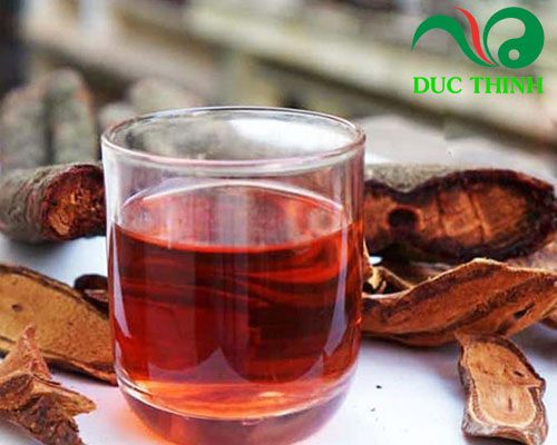 Cây cỏ máu mua ở đâu?