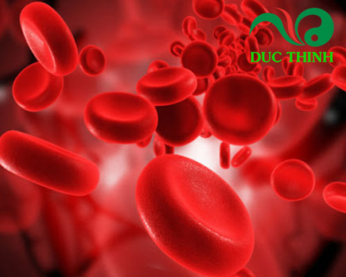 Cây huyết rồng ngâm rượu có tác dụng gì?