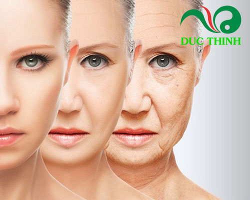 Cây huyết rồng ngâm rượu có tác dụng gì?