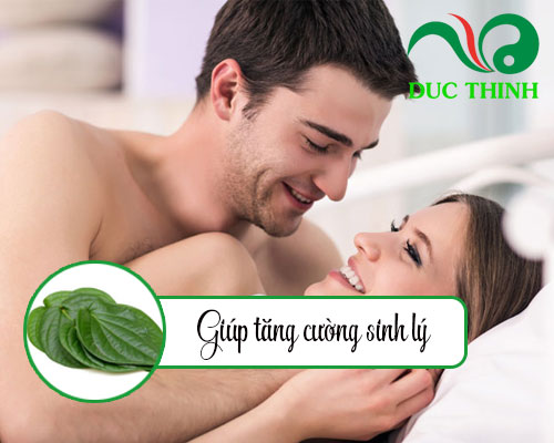 Cây lá lốt có tác dụng gì?