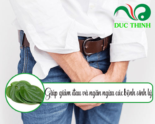 Cây lá lốt có tác dụng gì?