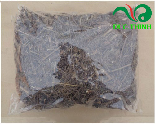 Giới thiệu về cây râu mèo