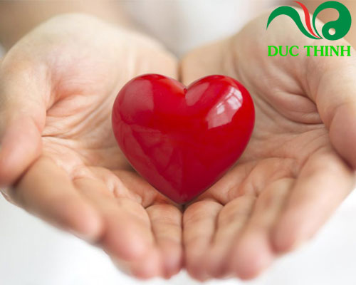 Phân biệt tam thất bắc với tam thất nam