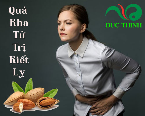 Quả kha tử có tác dụng gì?