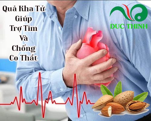 Quả kha tử có tác dụng gì?