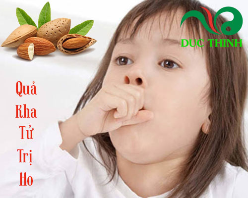 Quả kha tử có tác dụng gì?