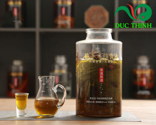 Rễ cây lá lốt ngâm rượu chữa đau răng