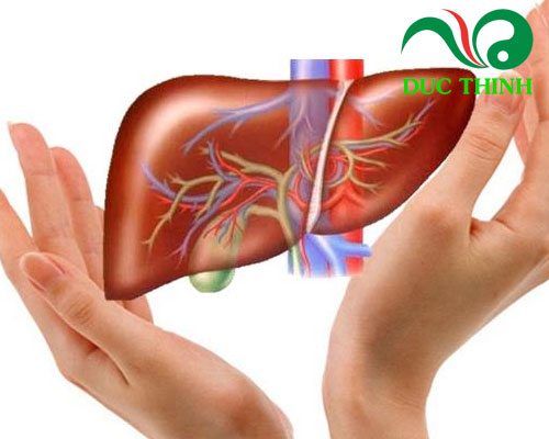 Tác dụng của bạch tật lê ngâm rượu