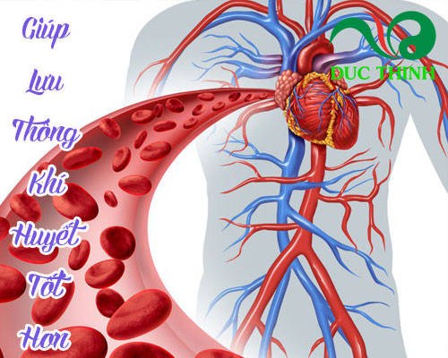 Tác dụng của cây lá lốt ngâm chân