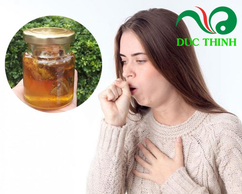Tác dụng của kha tử ngâm mật ong