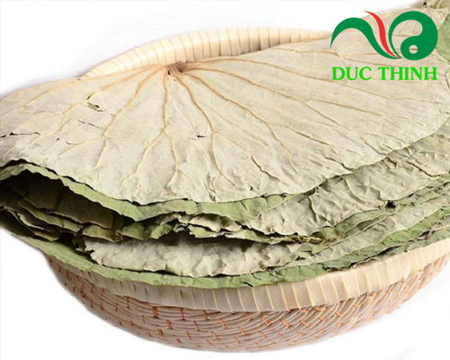 Tác dụng của lá sen khô giảm béo