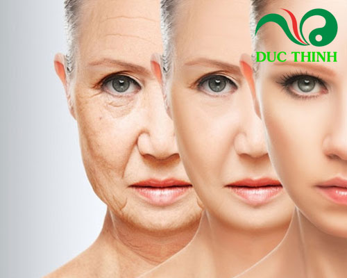 Tác dụng của lá sen khô và táo mèo