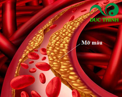 Tác dụng của lá sen khô và táo mèo
