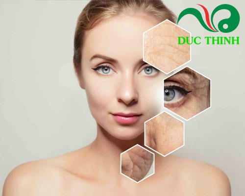 Tam thất bắc có tác dụng gì?