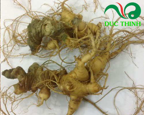 Tam thất bắc giá bao nhiêu?