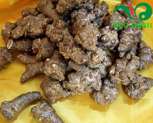 Tam thất bắc giá bao nhiêu?