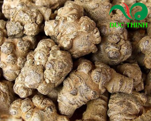 Tam thất bắc giá bao nhiêu?