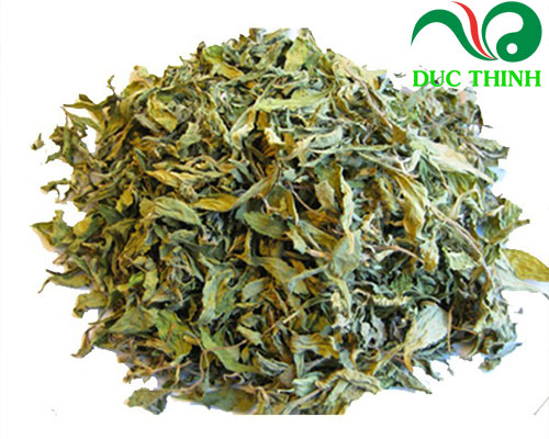 Thành phần dược tính trong cây hoàn ngọc