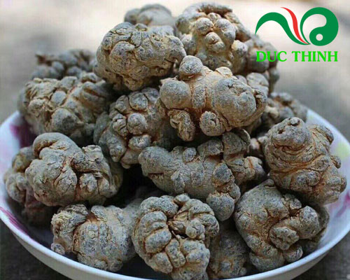 Thế nào là tam thất bắc chất lượng?