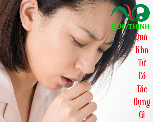 Vì sao nhiều người tìm quả kha tử mua ở đâu?