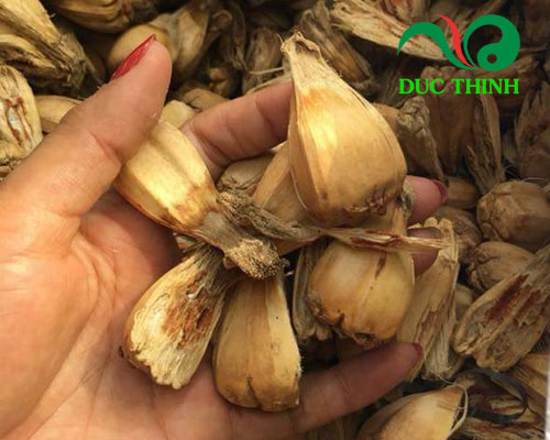 Hướng dẫn chữa viêm gan bằng quả dứa dại