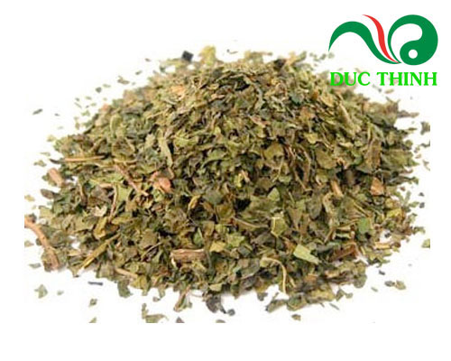 Những cách sử dụng cây lá lốt chữa bệnh ra mồ hôi chân tay