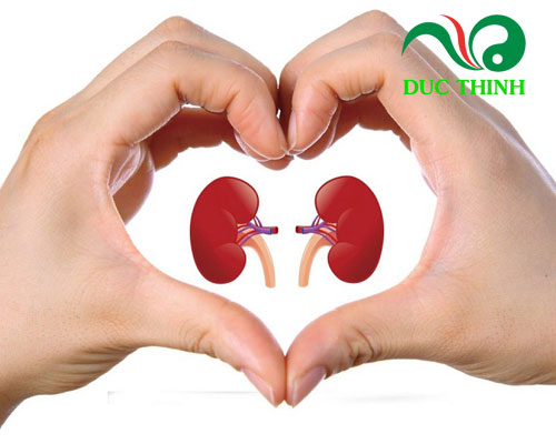 Quả dứa dại ngâm rượu có tác dụng gì?