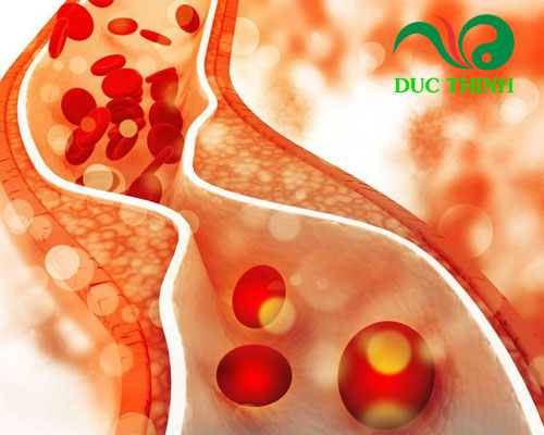 Quả dứa dại ngâm rượu có tác dụng gì?