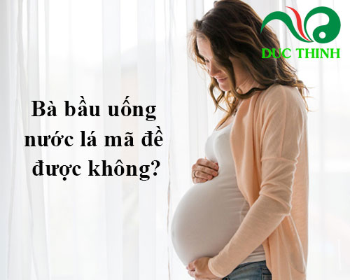 Bà bầu uống nước lá mã đề được không?