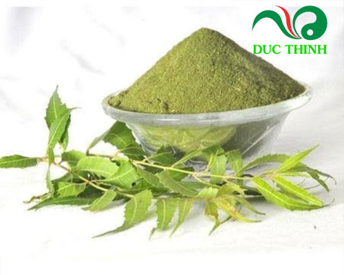 Bột lá neem là gì?