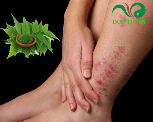 Cách sử dụng bột lá neem