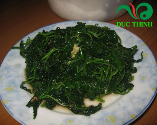 Cây bù lù có ăn được không?