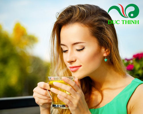 Chè đắng có tác dụng gì?