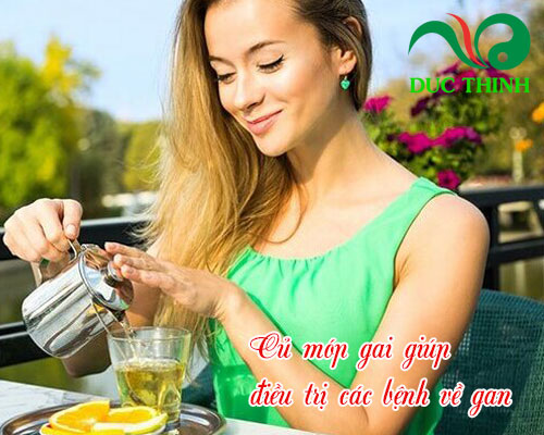Công dụng của củ móp gai là gì?