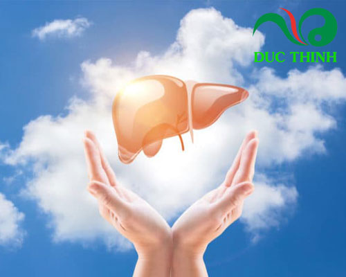 Công dụng Trà Cà Gai Leo Lava