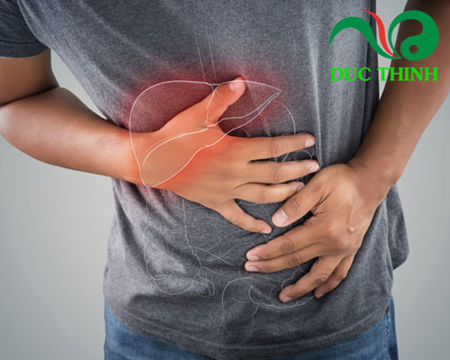 Đối tượng sử dụng Trà Cà Gai Leo Lava