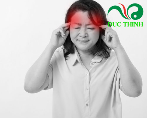 Đối tượng sử dụng trà đinh lăng Tâm Lan