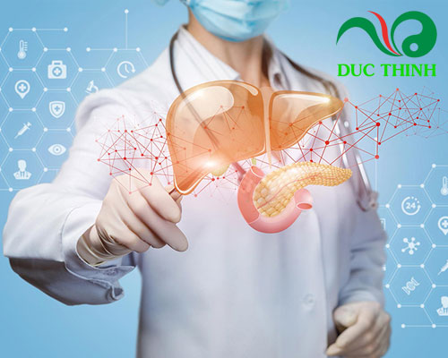 Dùng hoa kim châm có tác dụng gì?