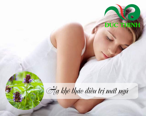 Hạ khô thảo có tác dụng gì?
