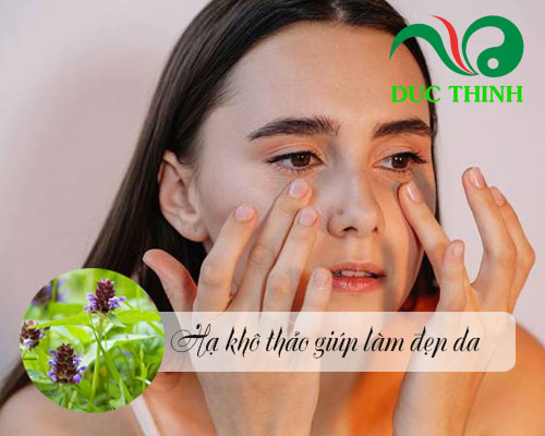 Hạ khô thảo có tác dụng gì?