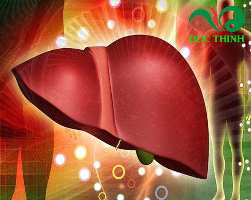 Hoa kim châm có tác dụng gì?