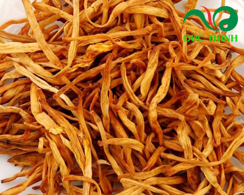 Hoa kim châm là gì?