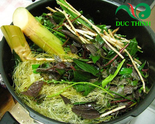Món ngon dễ làm từ lá mã đề tốt cho sức khỏe của bà bầu