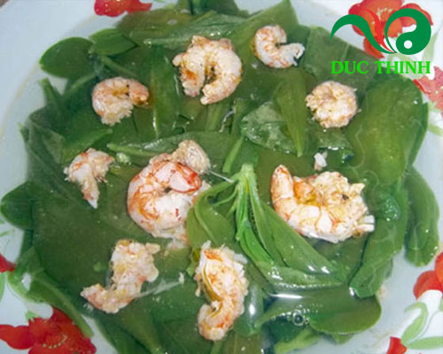 Món ngon dễ làm từ lá mã đề tốt cho sức khỏe của bà bầu