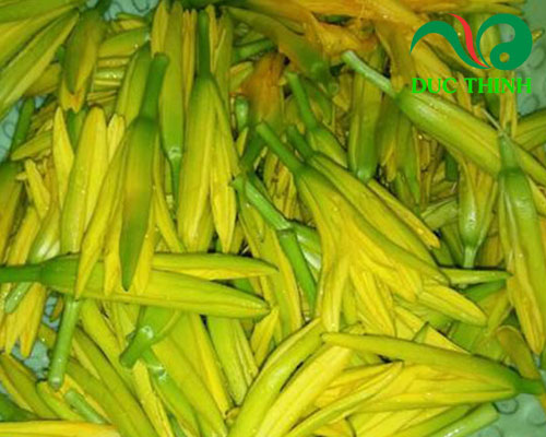 Mua hoa kim châm ở đâu?