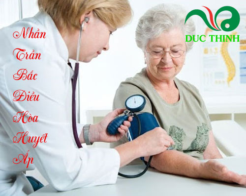 Nhân trần bắc có tác dụng gì?